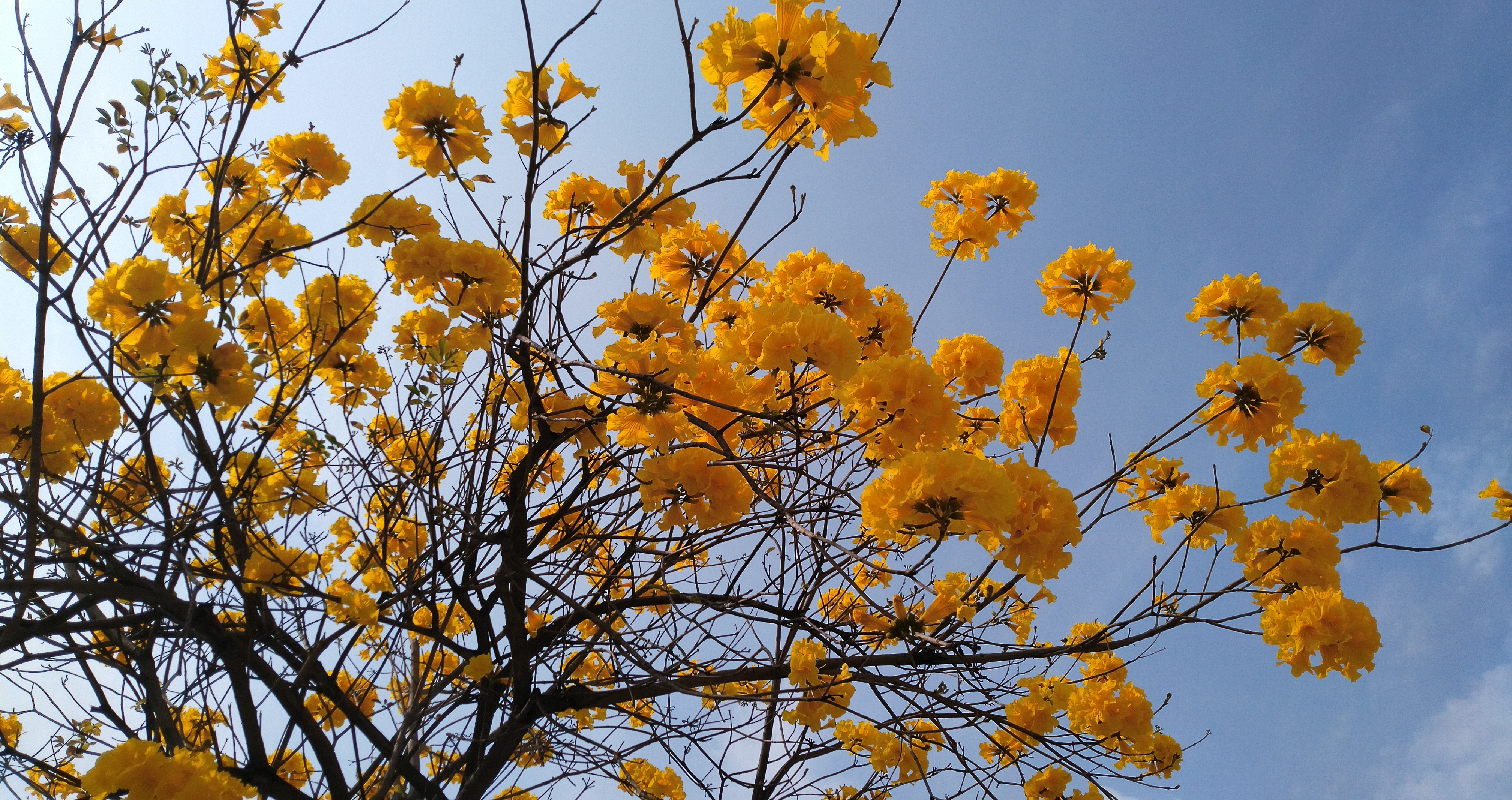 大数据时代（原创）