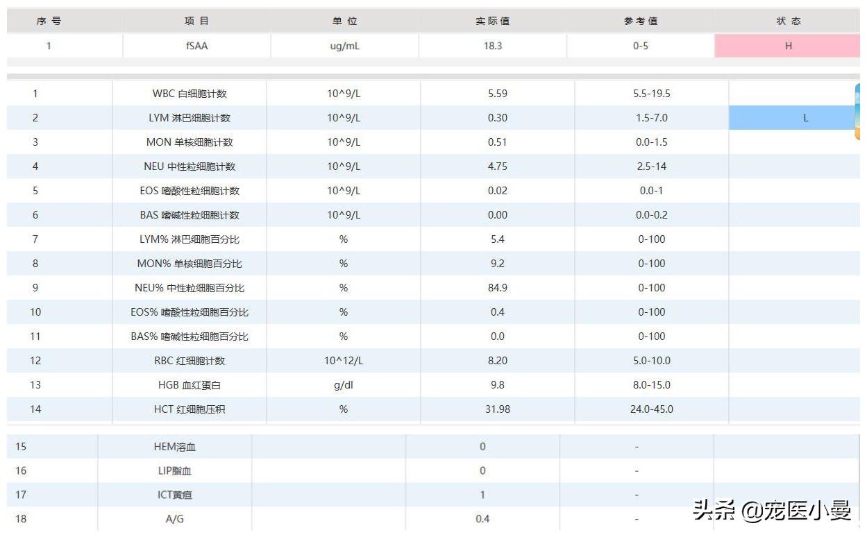 被称为猫版的我不是药神，“猫传腹”与“441”究竟是什么？