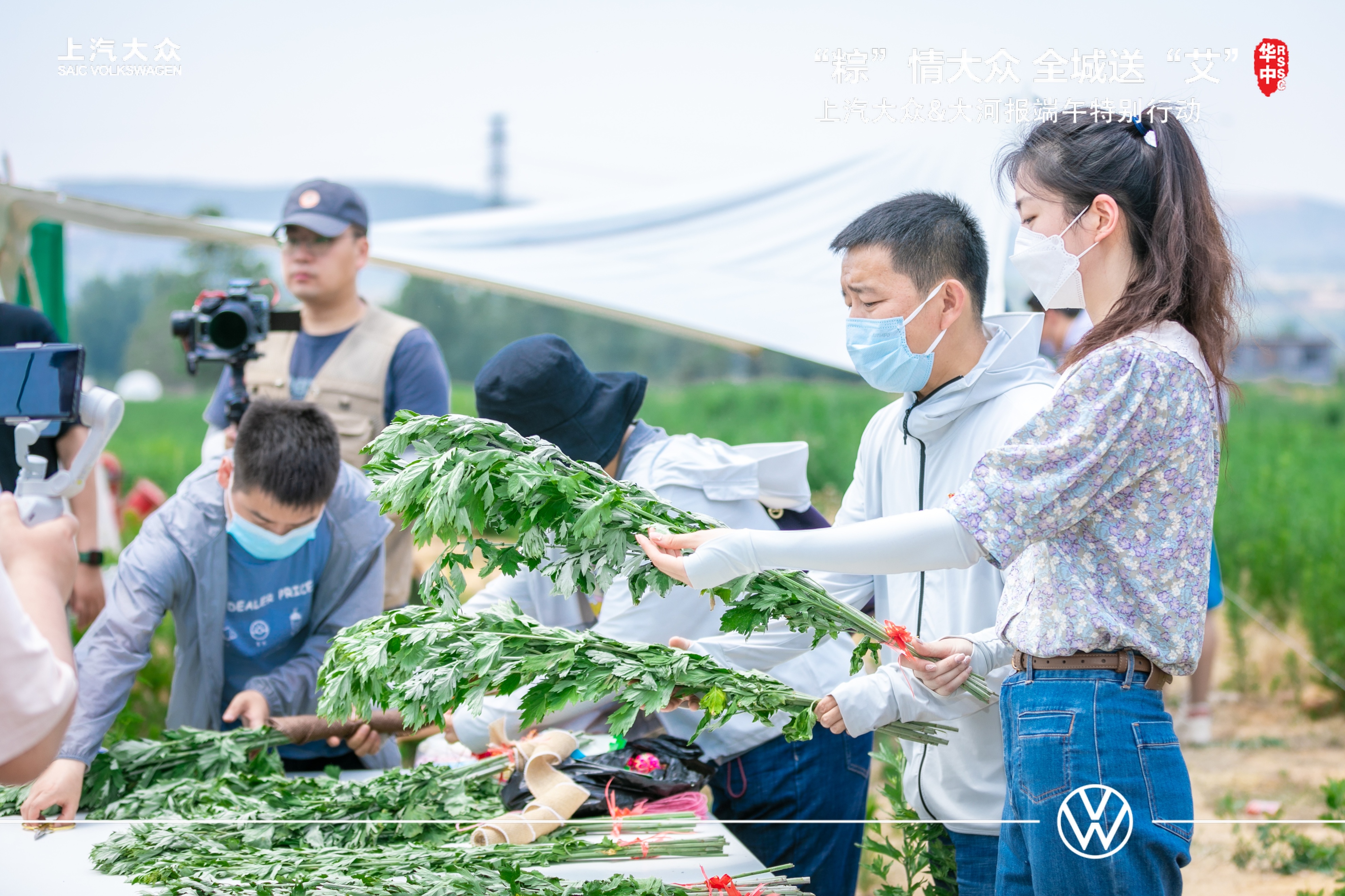 大河报汽车网