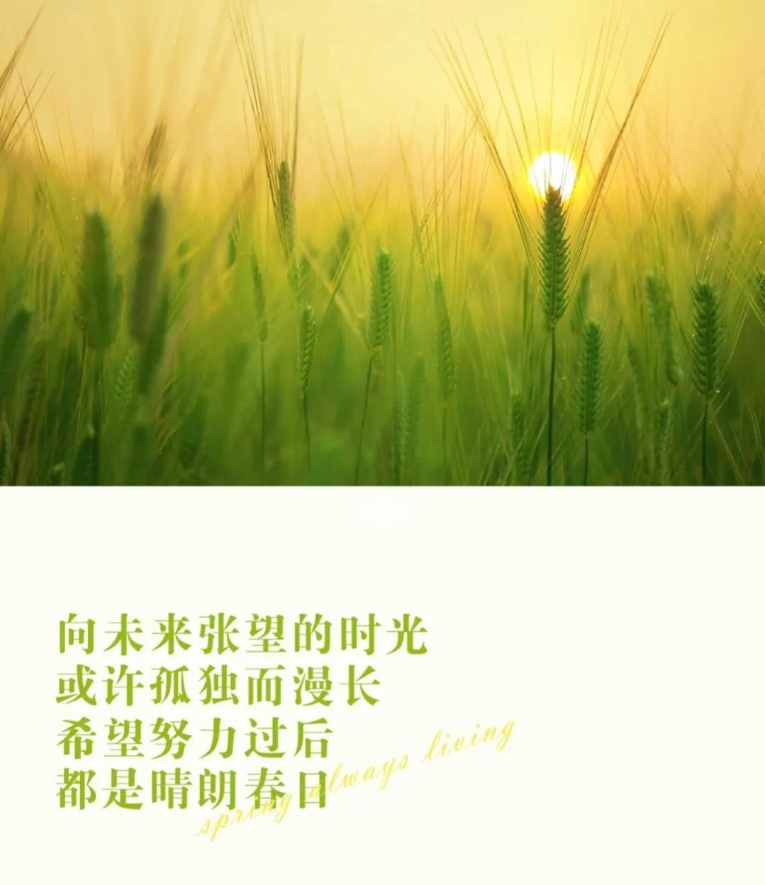 四月美好祝福唯美句子,干净暖心治愈文案