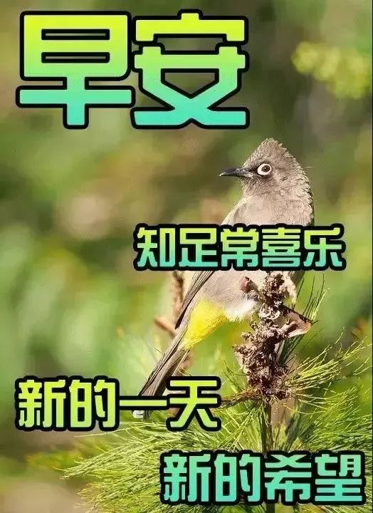 朋友圈早上好漂亮问候语图片，早上好唯美祝福图片，多感恩少计较图片