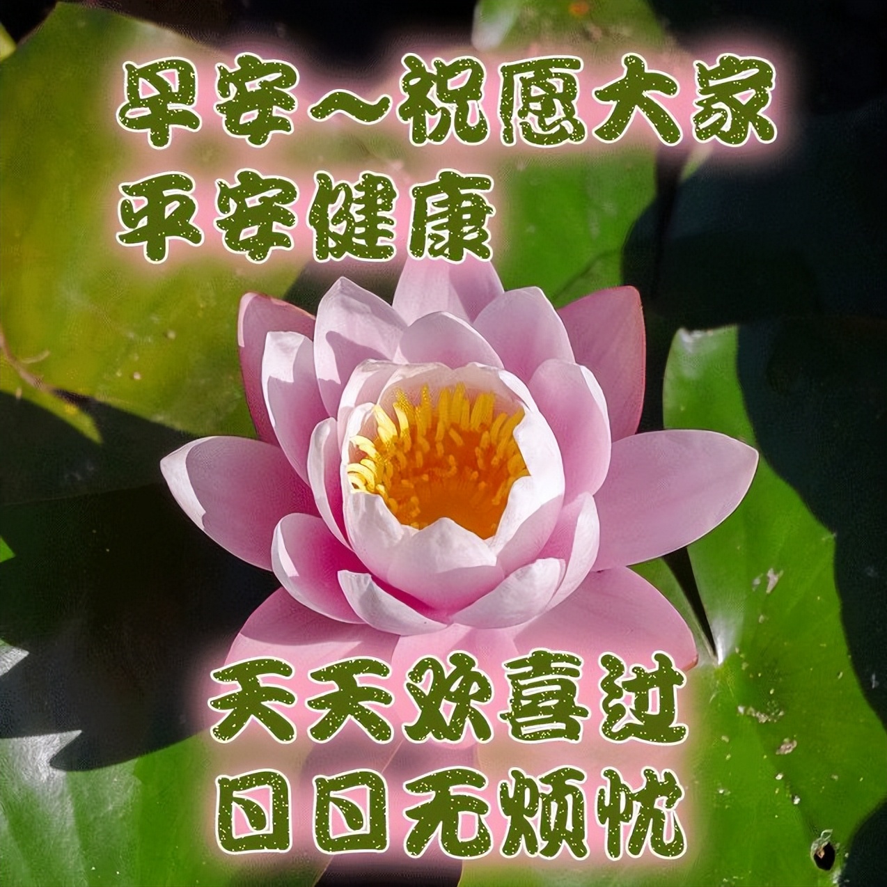 2022周二早上好祝福语带字带祝福语图集 愿你健康永久、快乐永久图片