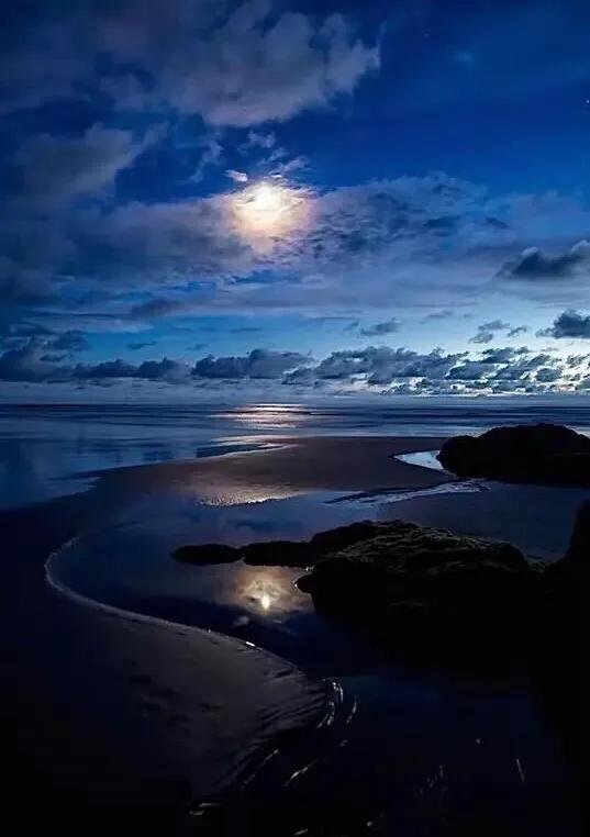 千江有水千江月