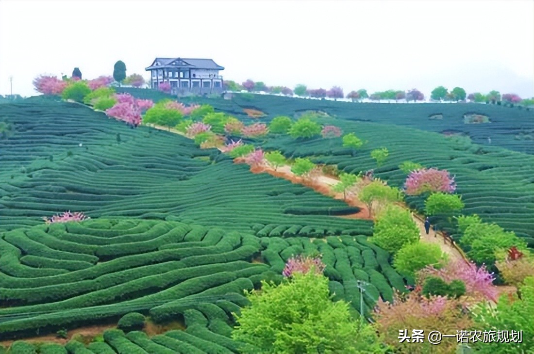 发展壮大村集体经济八种模式