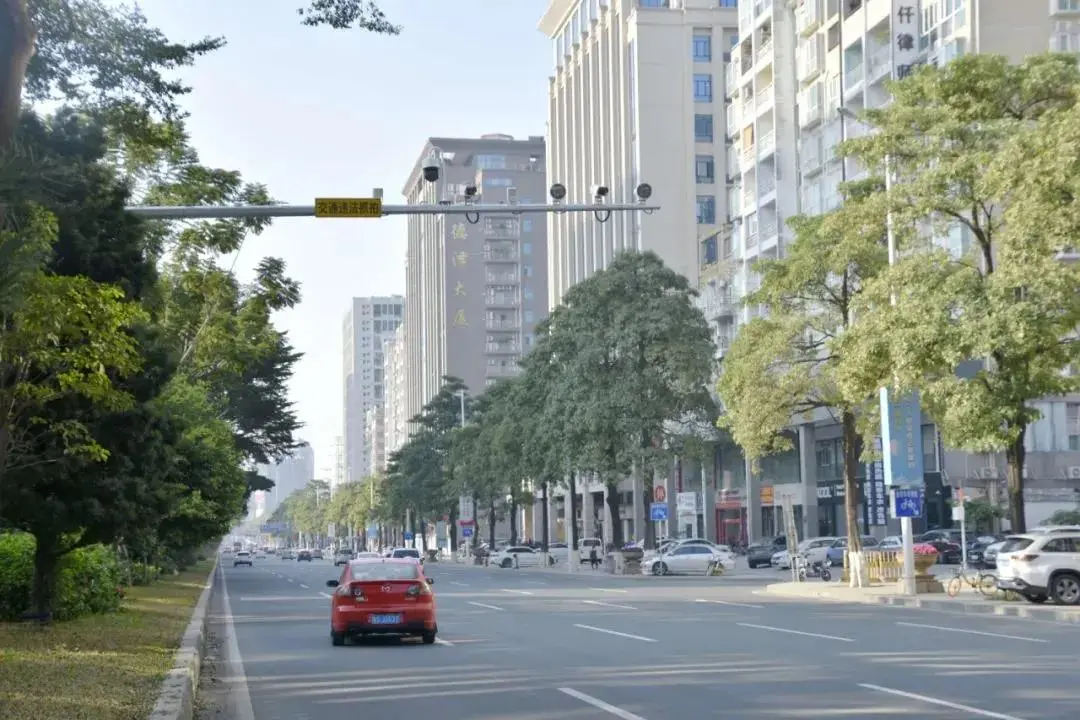 東莞司機以後經過這些路段小心吃罰單