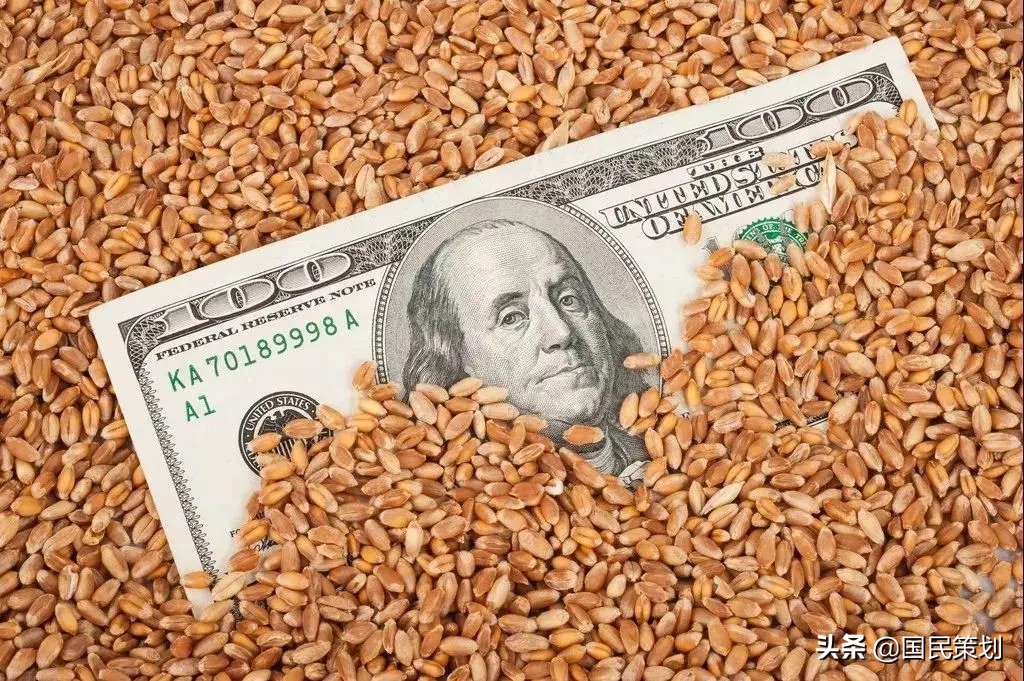 粮食危机？中国抓紧落实九个方面，给农民发放补贴，这样应对