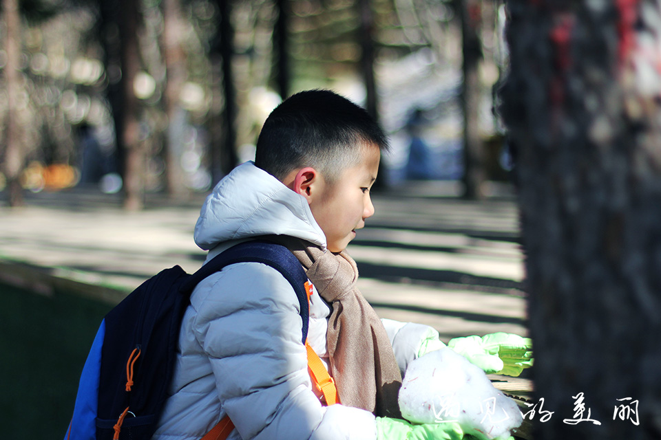 如果一生只去一次九寨沟，如何游玩才能不留遗憾？超详细游记攻略