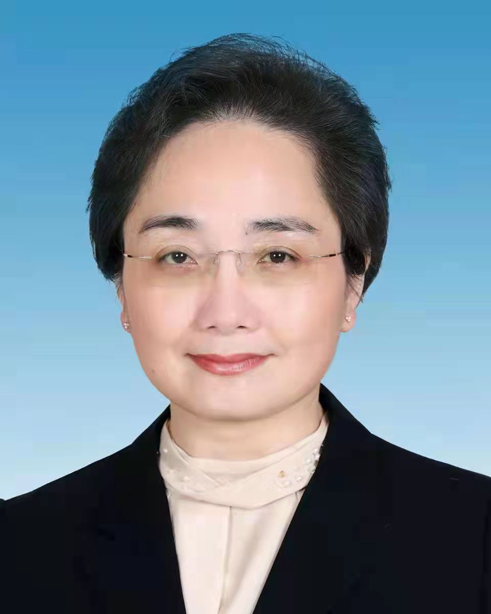 李莉当选北海市市长李莉简历照片