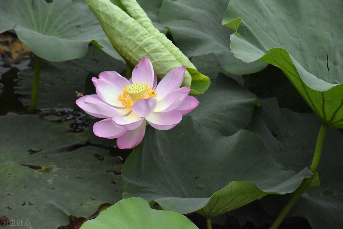 2021中央司法警官学院录取分数