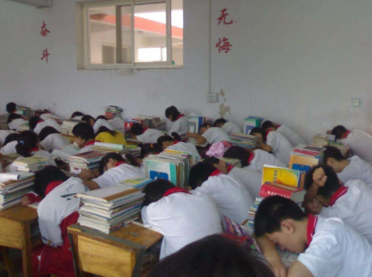 双减已实行一个学期，公立和私立学校有哪些差距？学生该如何选择