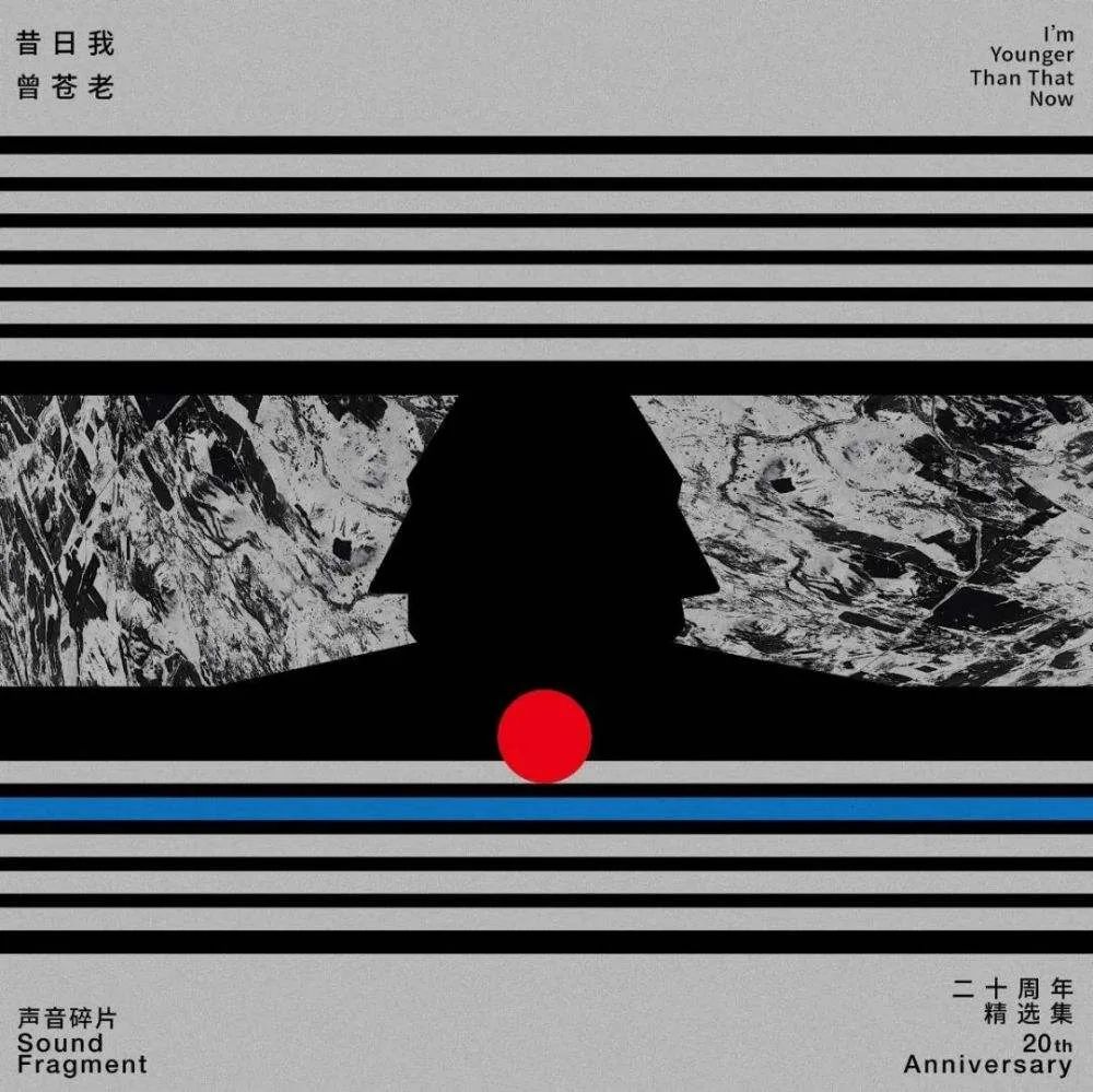 听完2021年的194张华语专辑，这几张专辑值得分享