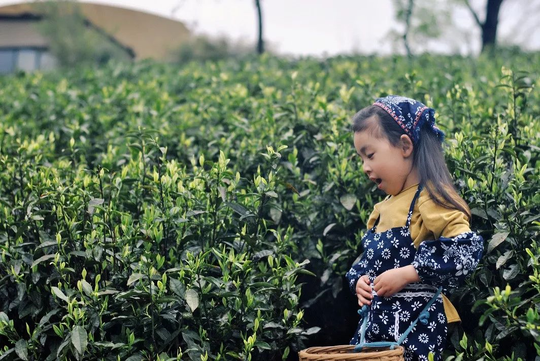 驴妈妈旅游网：“她力量”撑起半边天，女性成旅游消费主力