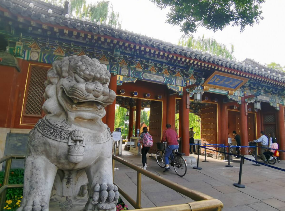 重庆高考状元何川洋：659分考上北大，却因身份造假遭北大拒录