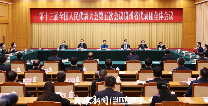 贵州代表团举行组团会议 推选谌贻琴为代表团团长 李炳军蓝绍敏李飞跃为副团长