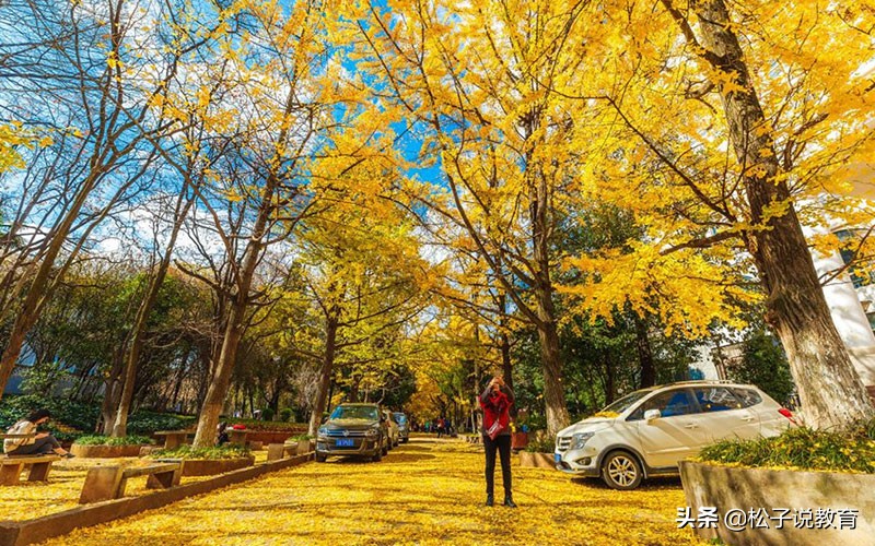 云南大学和西南交通大学哪个好?进来看看吧(图7)