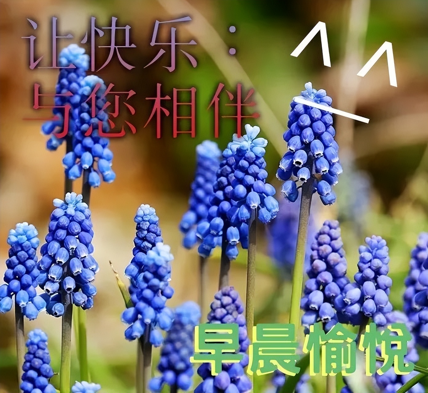 新版早上好图片带字 夏天早上做好表情包，注意防暑，补充水分图片