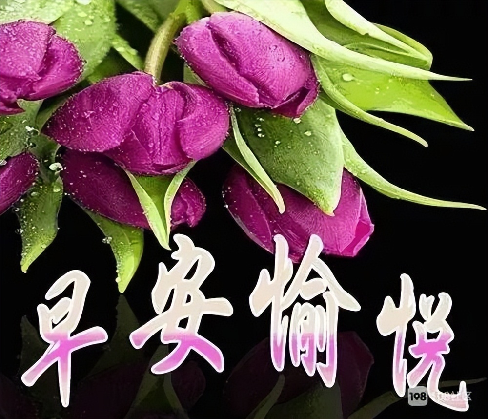 周一大家早上好的图片快乐祝福语，愿你今天有个好心情图片