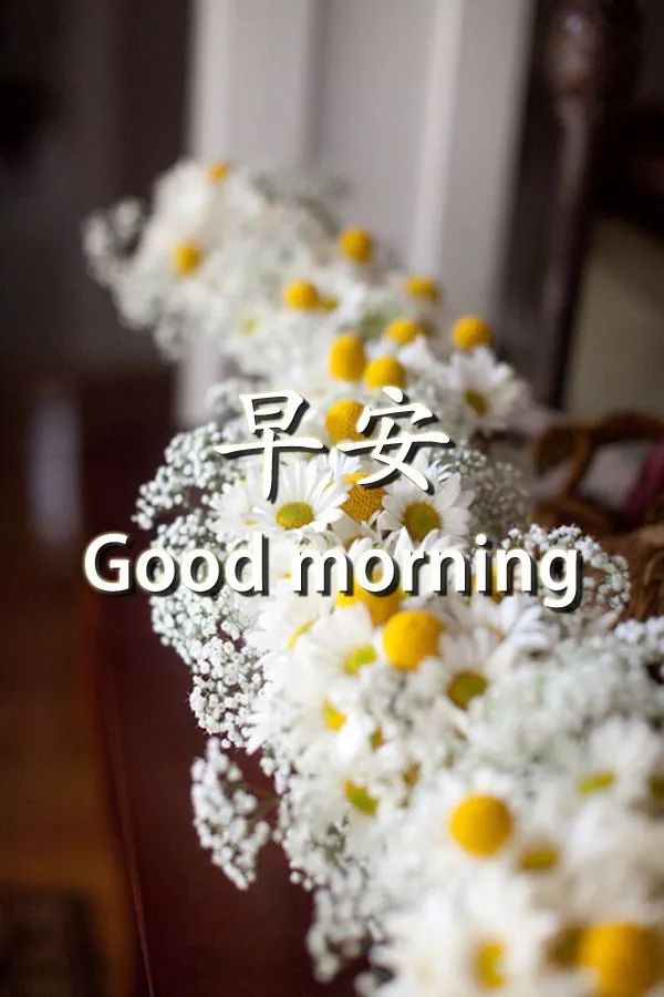 早上好问候祝福，一生快快乐乐，一世平平安安图片