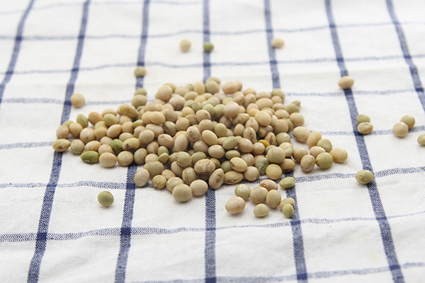 4种“假豆腐”里根本没有黄豆，怎么做到的？爱吃的人少往家里买