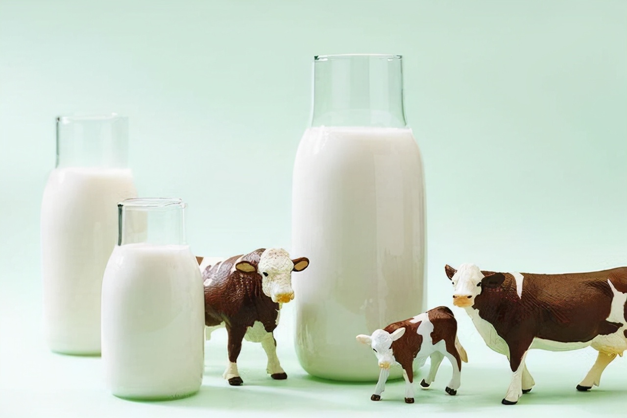 为什么中医不建议经常喝牛奶？是真的吗？经常喝牛奶会怎样？