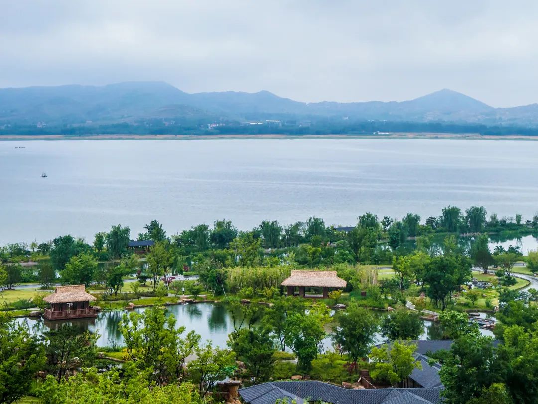 谷雨 | 雨生百谷润无声，园藏意境春景浓