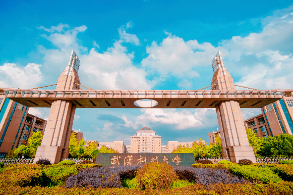 最低统考成绩220分左右文化成绩400分上下，超值捡漏武汉科技大学