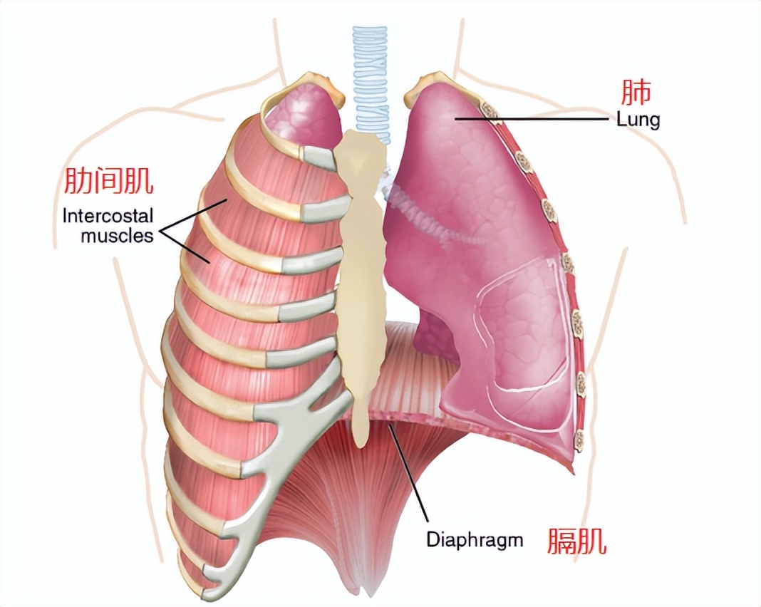冉莹颖这是咋了？怎么突然美成吉娜了？？老公邹市明看傻了