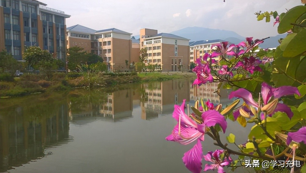 福建一所学院，获7大名校支持，网友：什么来历？