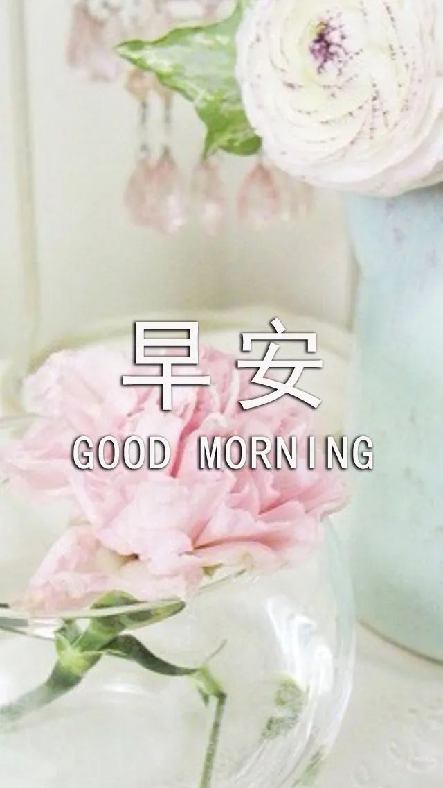 微信群发最新早上好动态图片表情，祝你从早到晚好运连连图片