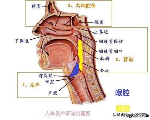 粗浅地总结演唱的通用方法