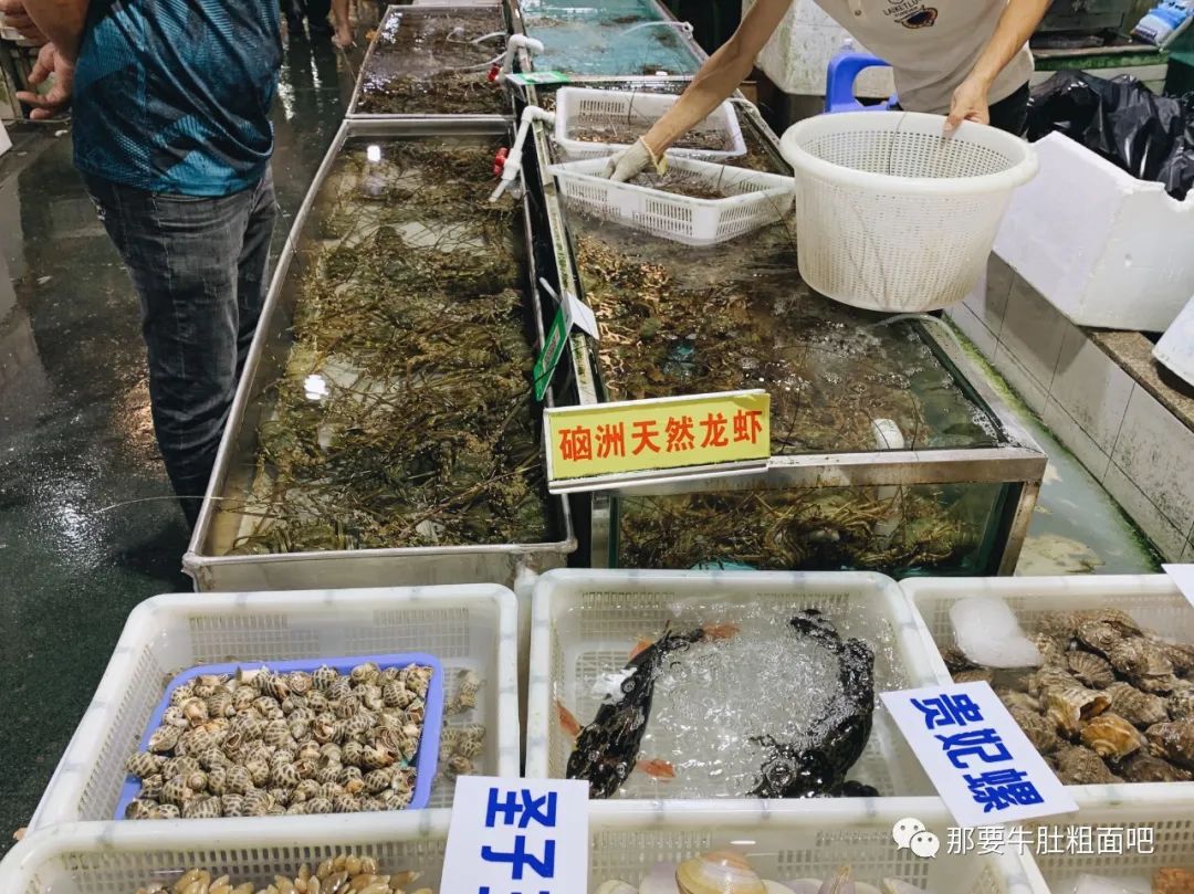 吃喝与躺平，湛江肥宅快乐假期