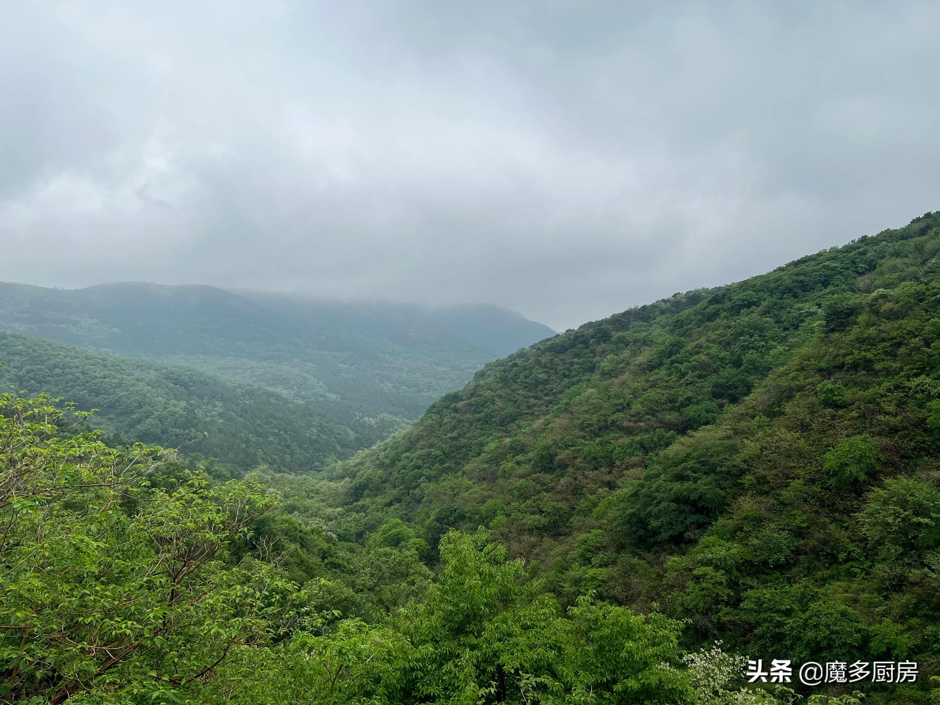 北京香山植物園戶外記錄，帶孩子們雨中山野徒步，感受自然樂趣