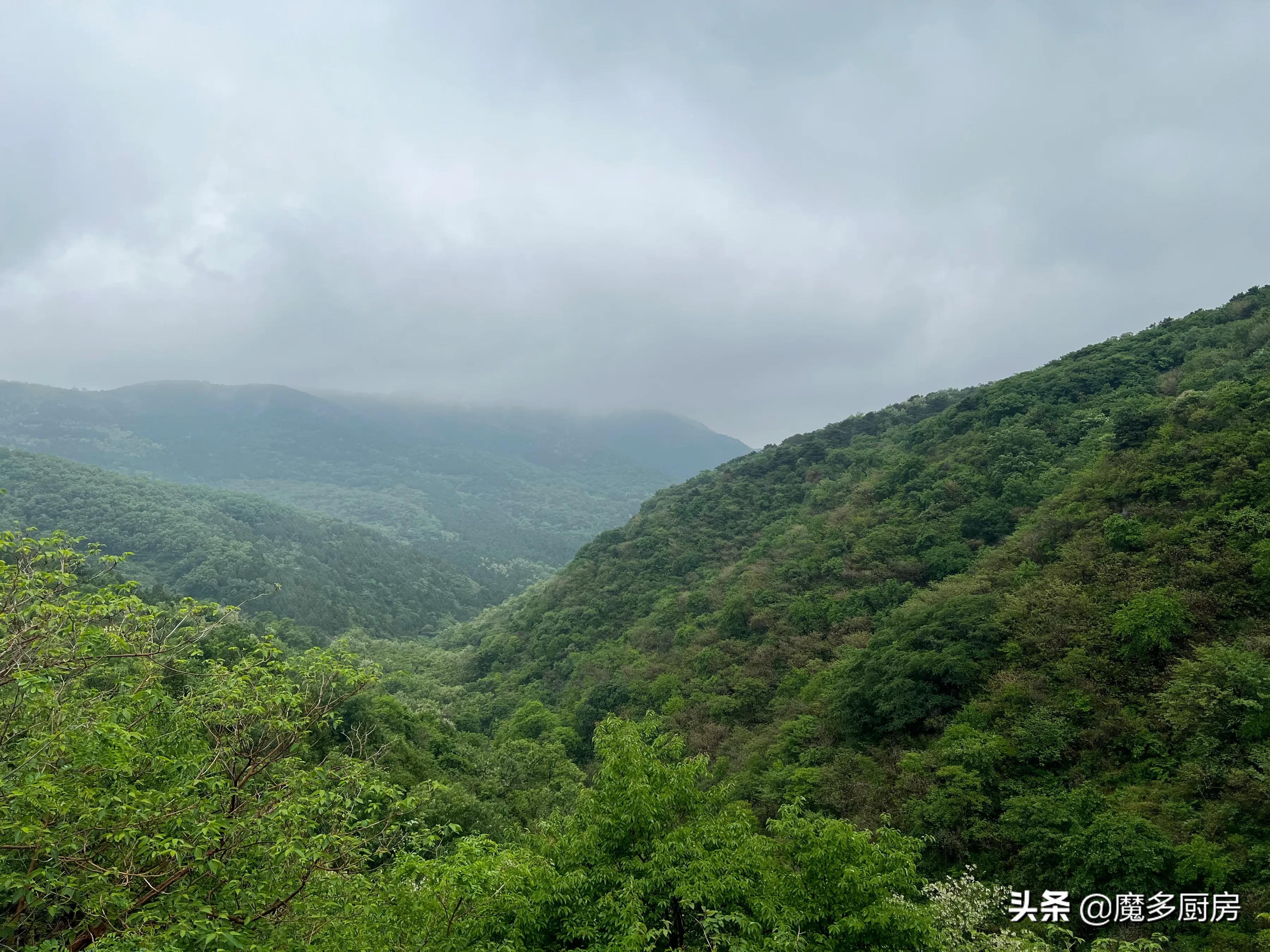 北京香山植物园户外记录，带孩子们雨中山野徒步，感受自然乐趣