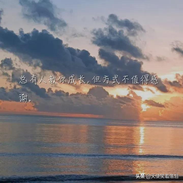 简短好句分享(消失宾妮经典语录)