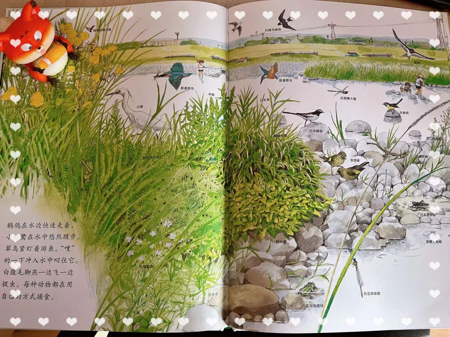 带孩子感受春花、夏风、秋月、冬雪的美好四季