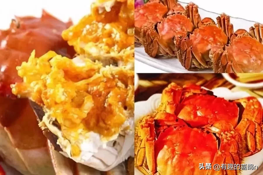 冬天应该吃的美食(冬天一定吃的美食)