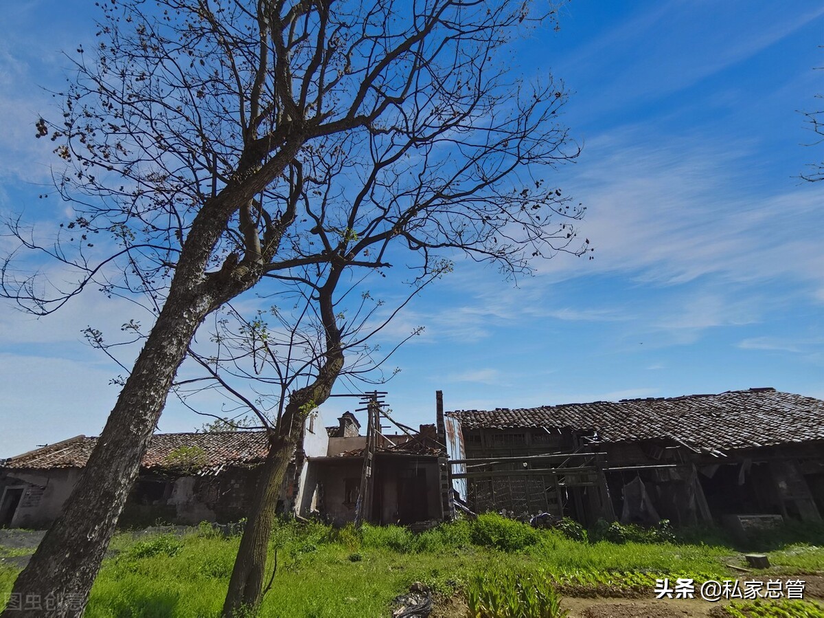 你不要着急，你先去读你的书，我去看我的电影