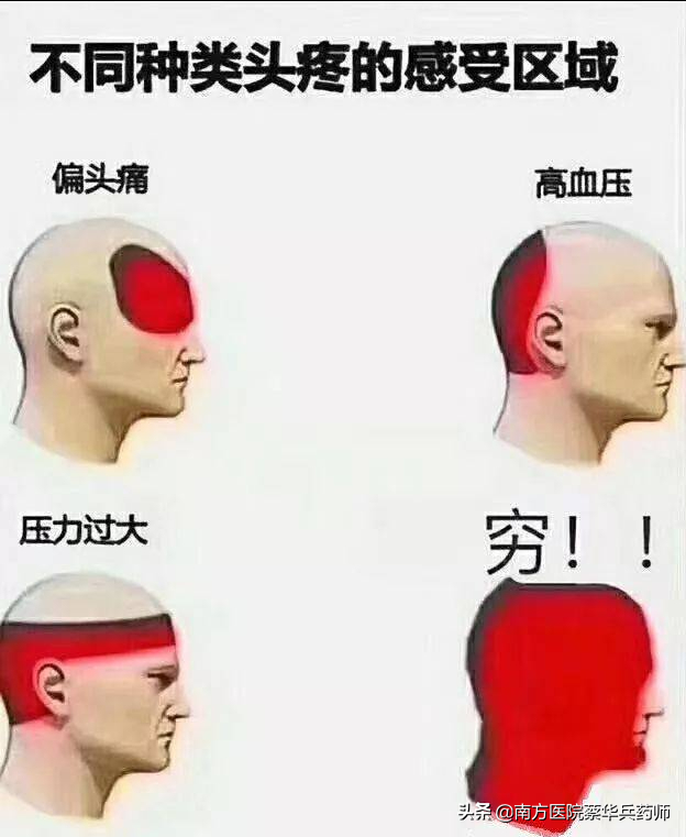 川芎茶调散汇聚了众多治头痛的中药，专治头风引起的各种头痛