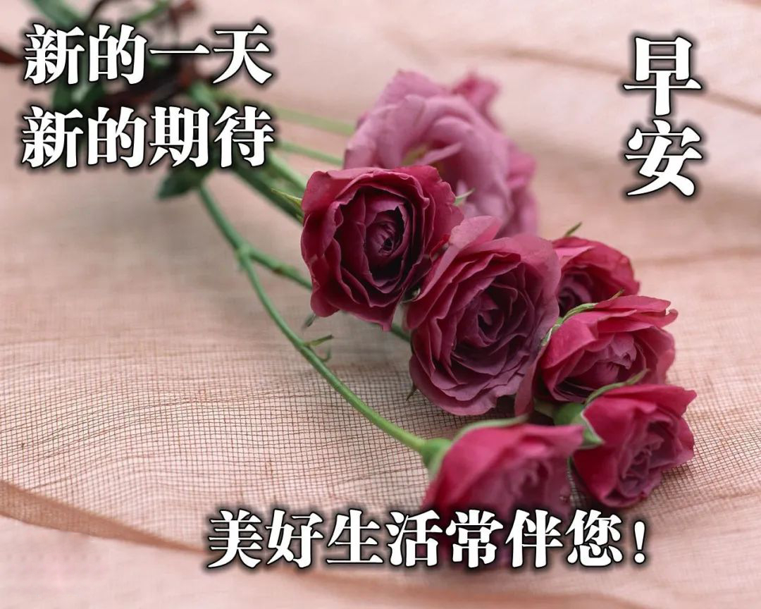 新周每日更新动态表情图片 拥有幸福的心，做快乐的自己图片