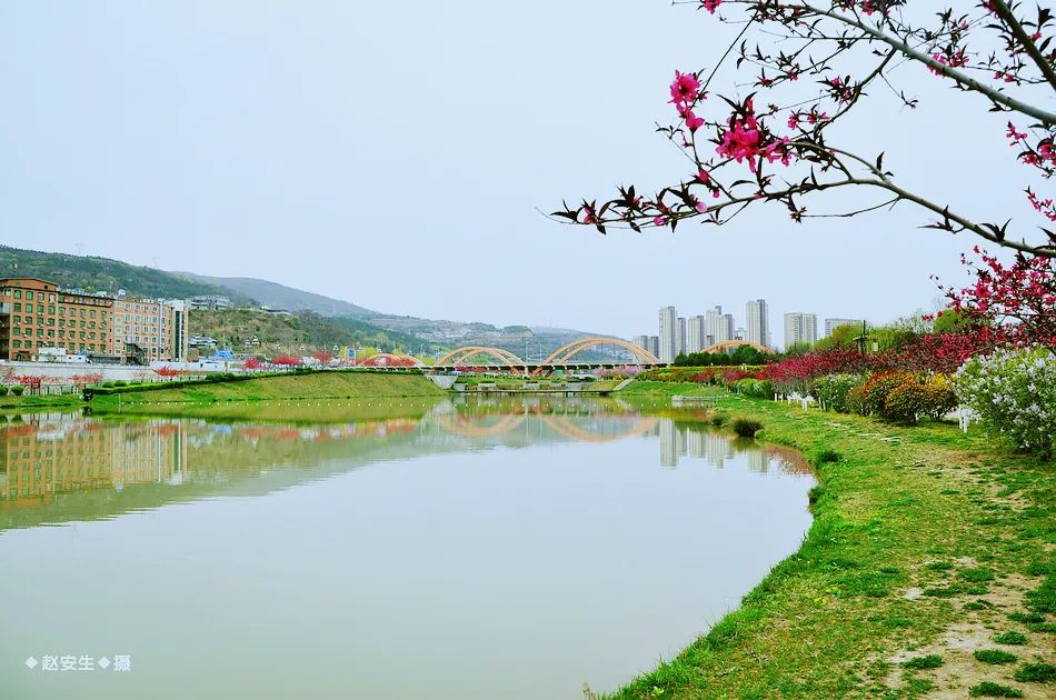 疫情挡不住春天的脚步，小编带你去看古城秦州的春暖花开
