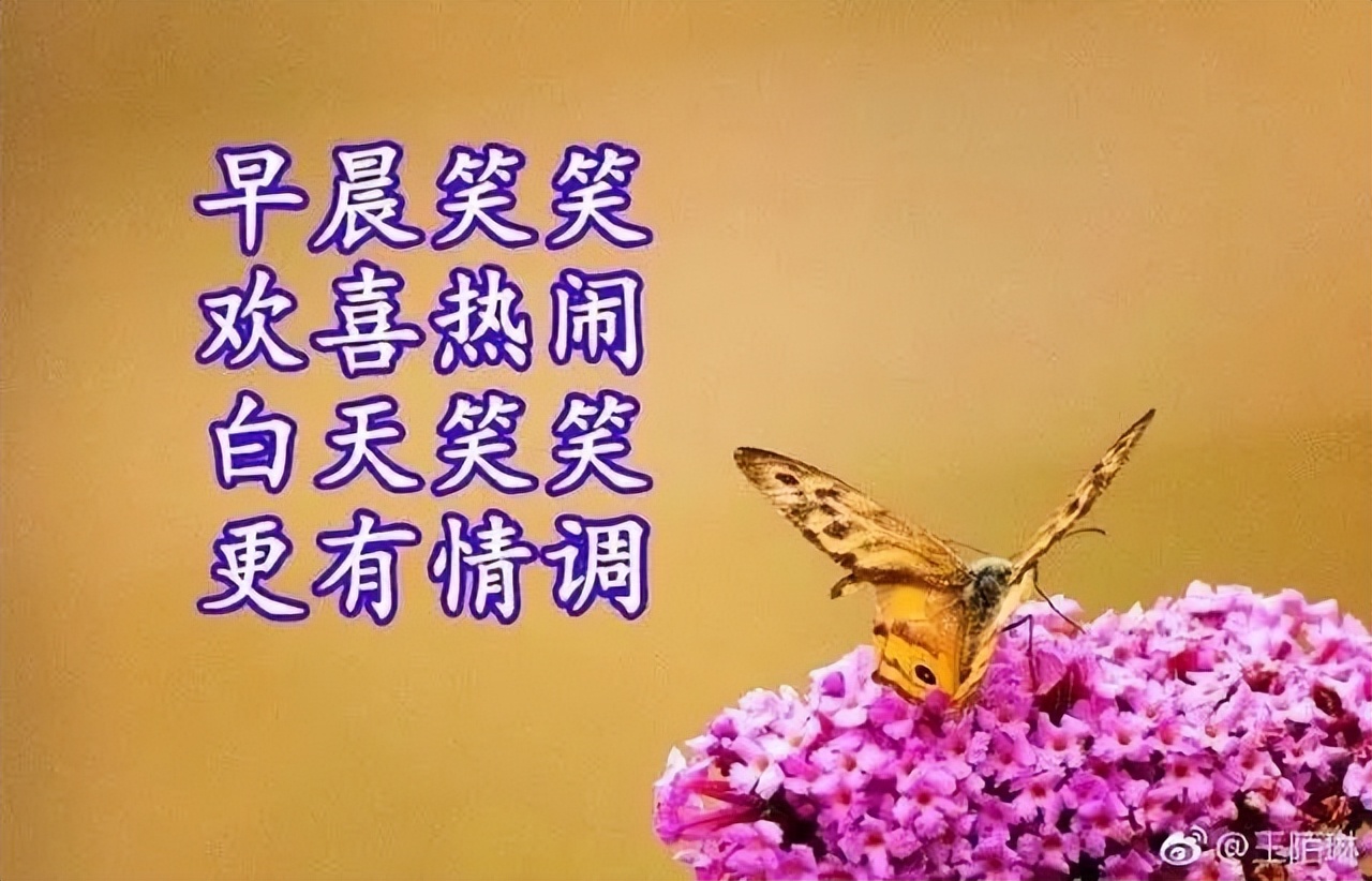 2022朋友圈早上好问候祝福语录，放下苦痛，才能沐浴阳光图片