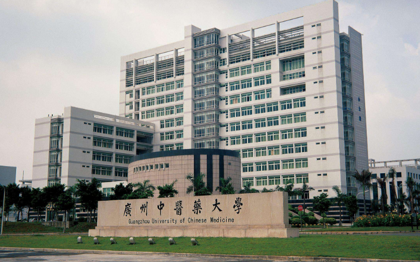 广东省大学金字塔排名，异地校区“来势汹汹”，南医是医科领头羊
