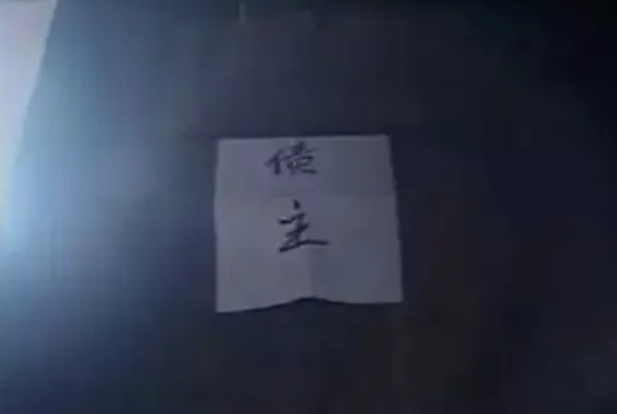 2001年四川5人成立新龙会，3个月发展近百成员，设神偷堂专偷农民