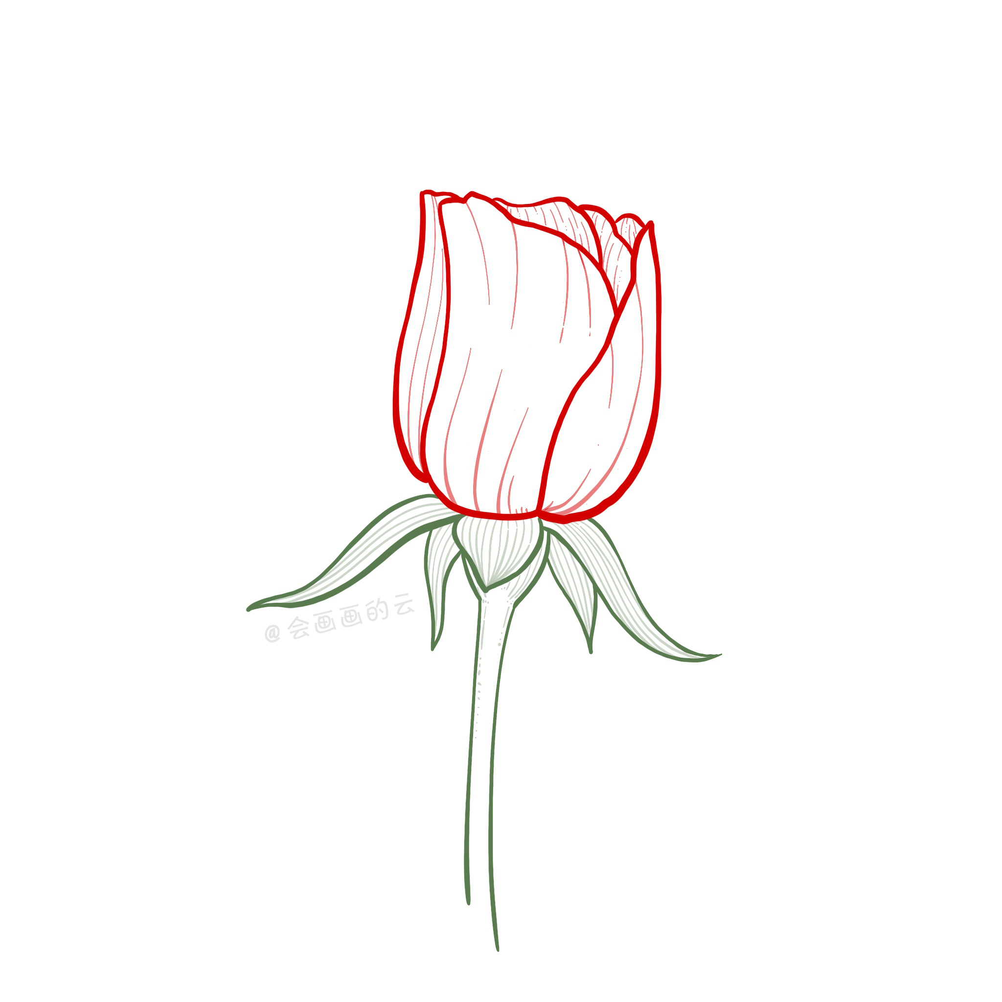 中性笔画玫瑰图片