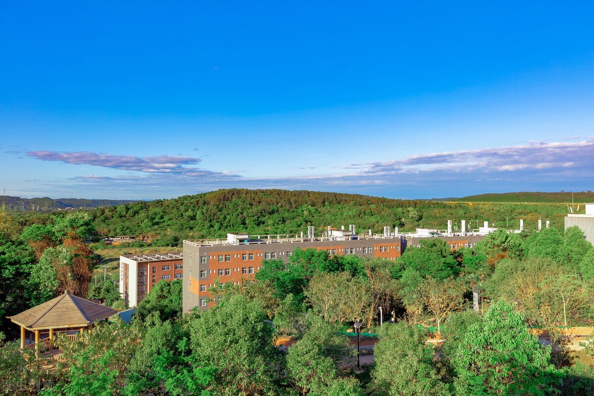 19省综合分如何计算，2022年统考225文化370分，可报考哪些大学？