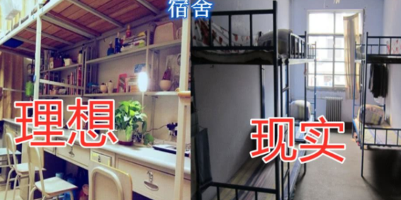 理想中的大学和实际上的大学，差得不止一点点，看完内心五味杂陈
