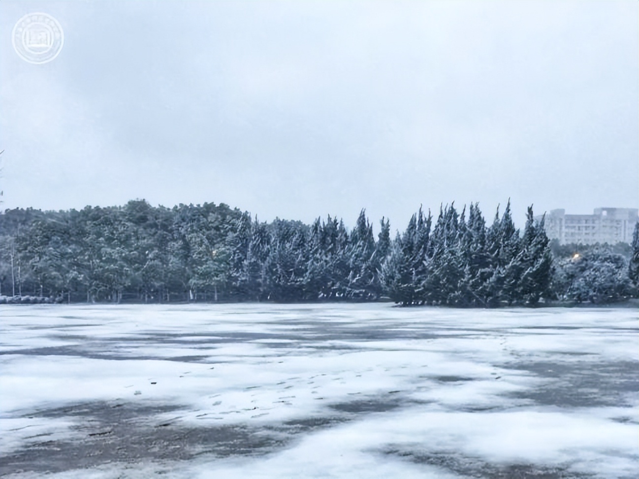 推开“三扇窗”，揭开上海大学的绝佳美景！每一帧都是画，美出新高度！