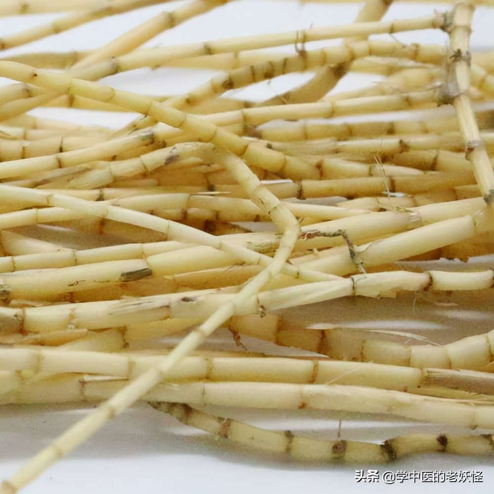 白茅根的功效与作用凉血止血清热利尿