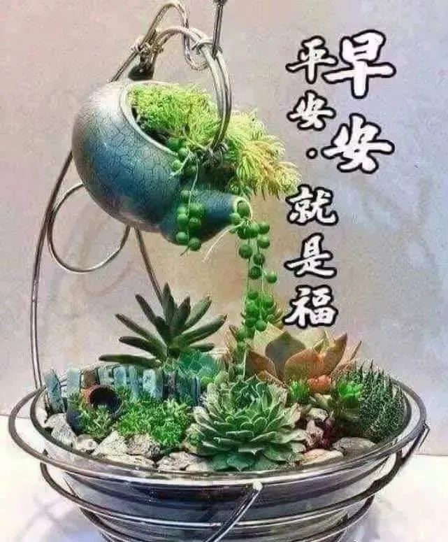 送给朋友的早上好祝福图片 问候早上好暖心语录 相遇最美、感谢有你图片