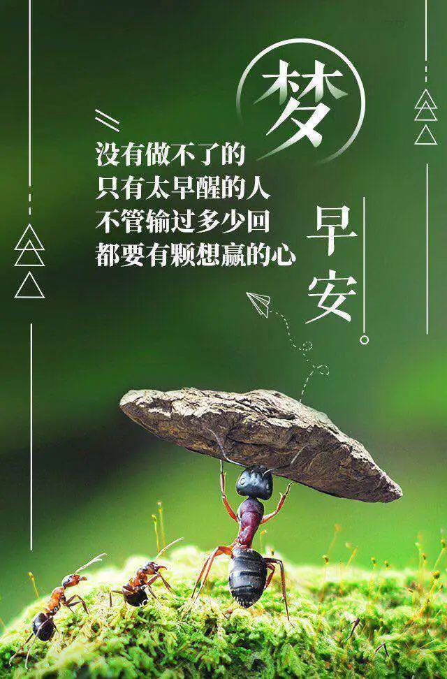 星期三早上好表情包动图更新 愿你快乐好心情图片